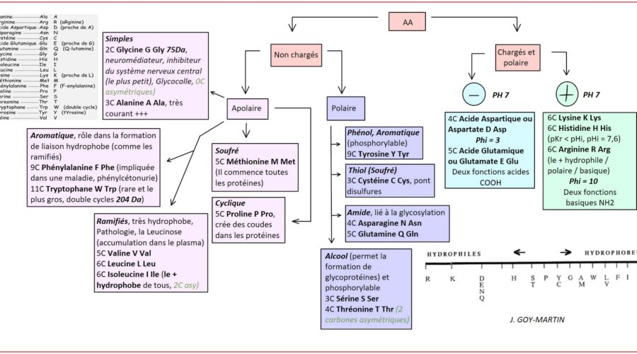 Comment Créer un Look Chic avec des Basiques de Garde-Robe