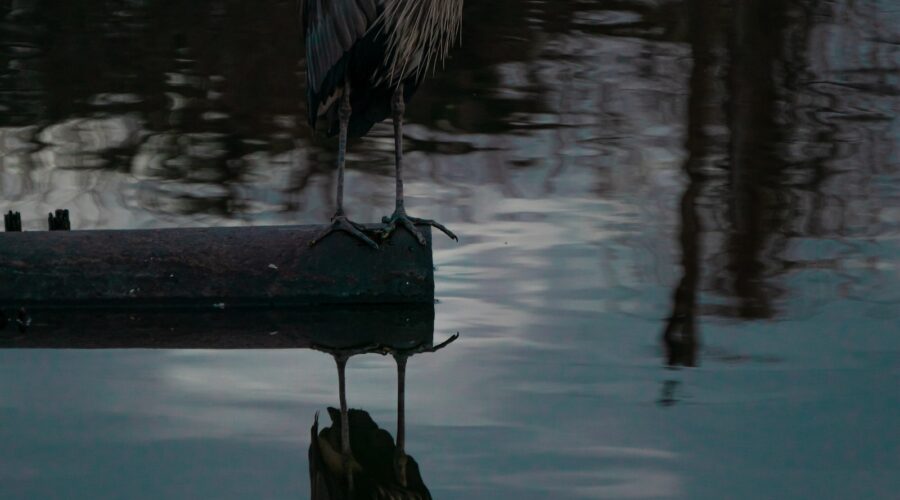 Comment Créer un Look de Bureau Élégant et Professionnel